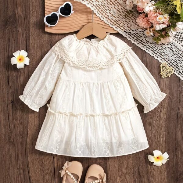 Princess Dress with Floral Embroidery & Lace Trim